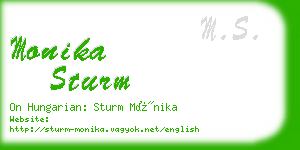 monika sturm business card